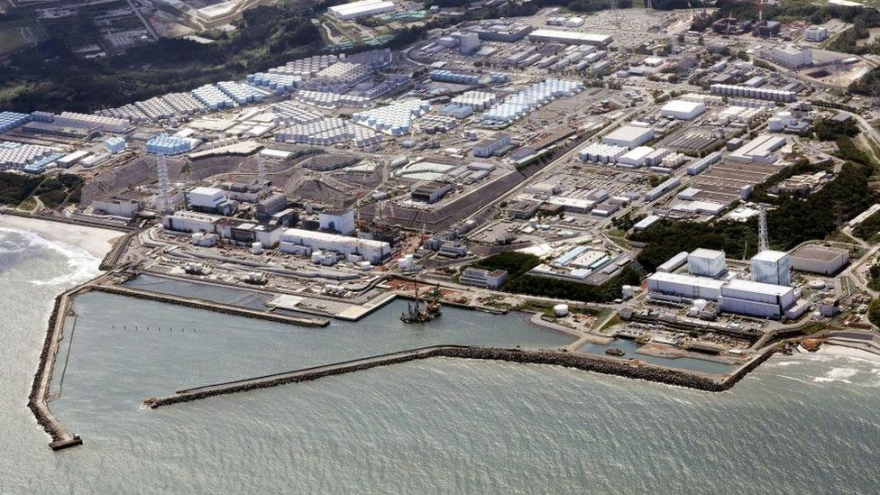Nhật khẳng định mẫu nước và mẫu cá gần nhà máy điện Fukushima an toàn